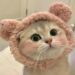 avt cute mèo