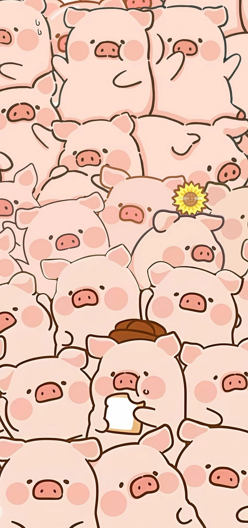 hình nền dt cute