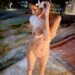 jbswg_diary sex 2