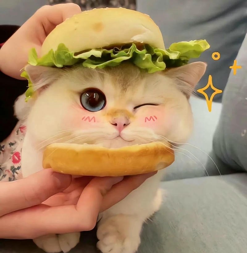 ảnh anime cute