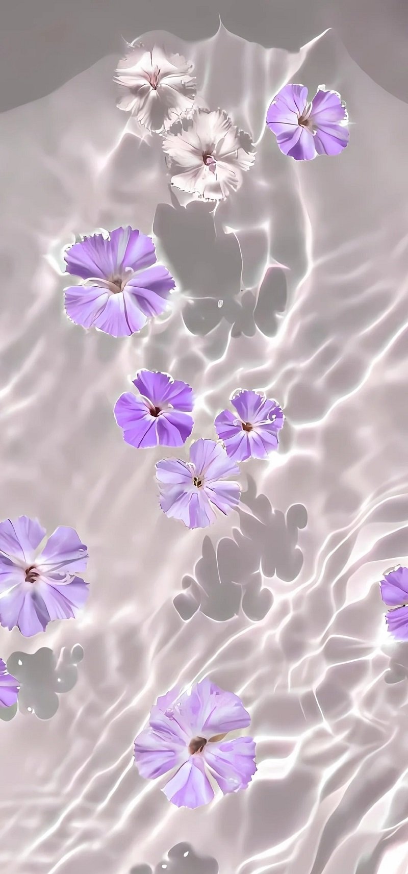 ảnh dep 3d