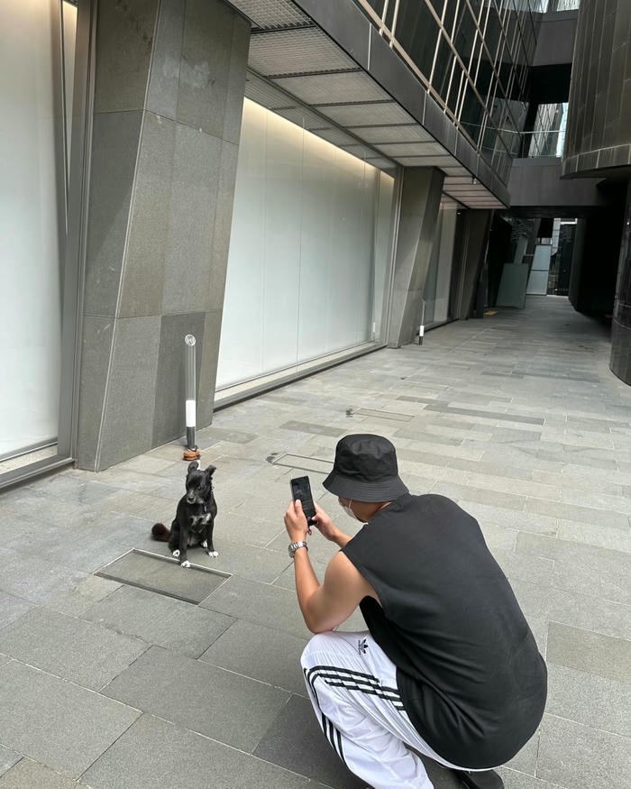 ảnh rm dễ thương