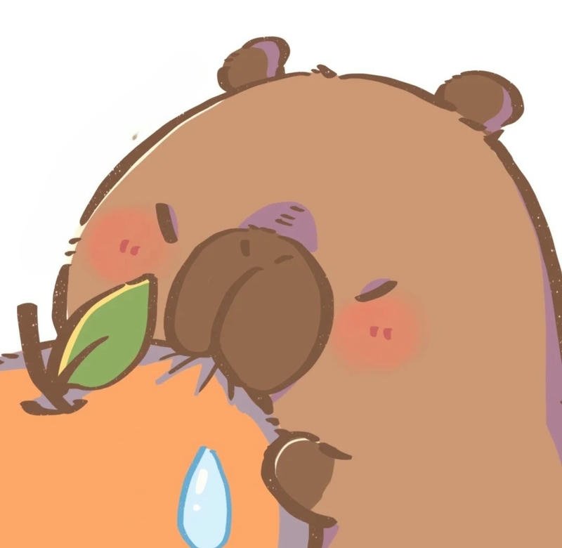 avatar ảnh capybara chibi cute