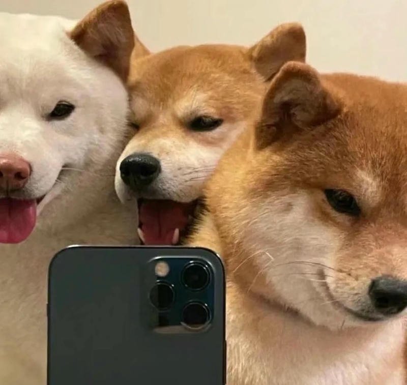 avatar bạn thân hài