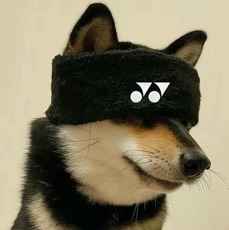 avatar cầu lông vô tri cute