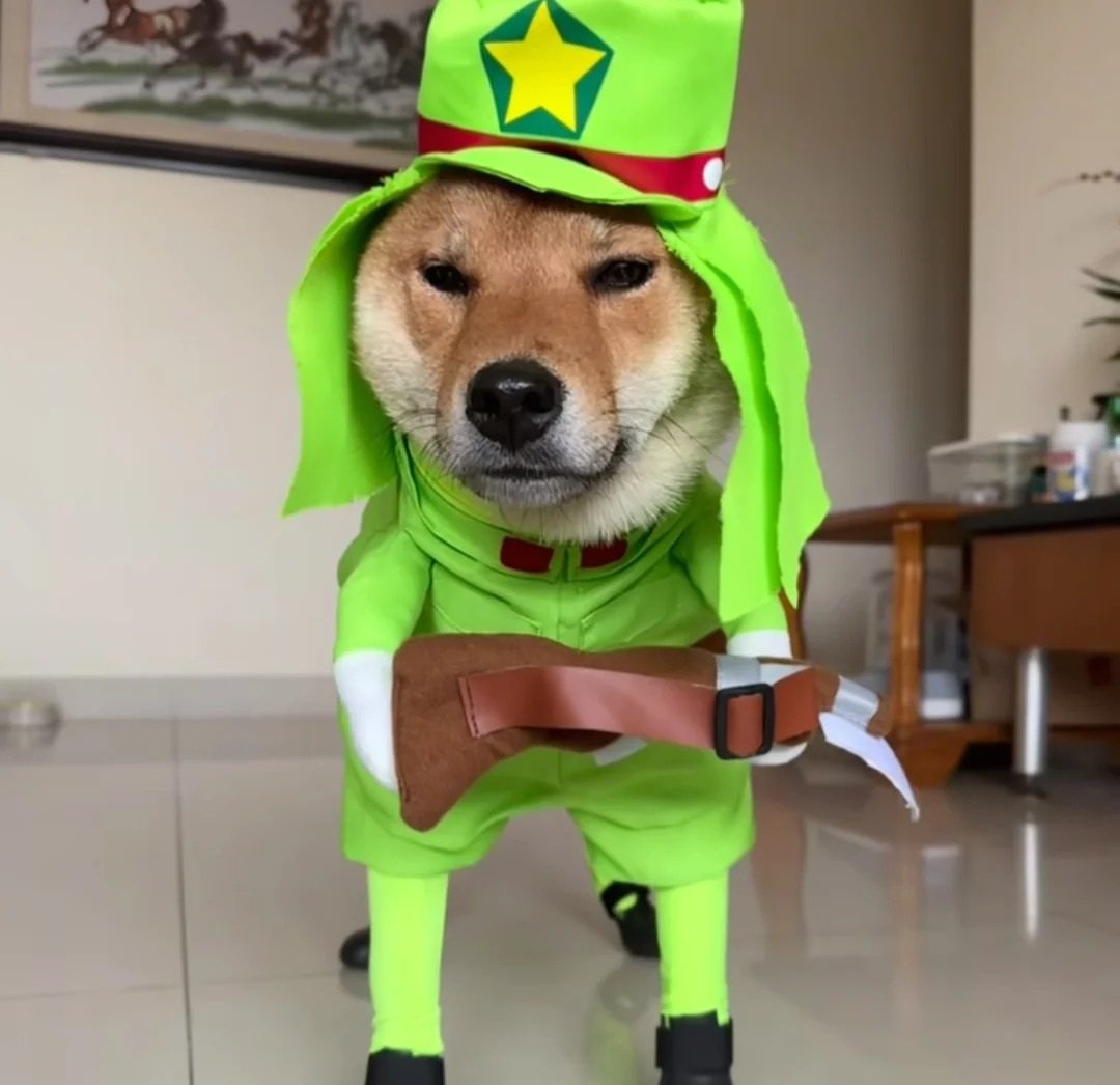 avatar chó cute bựa