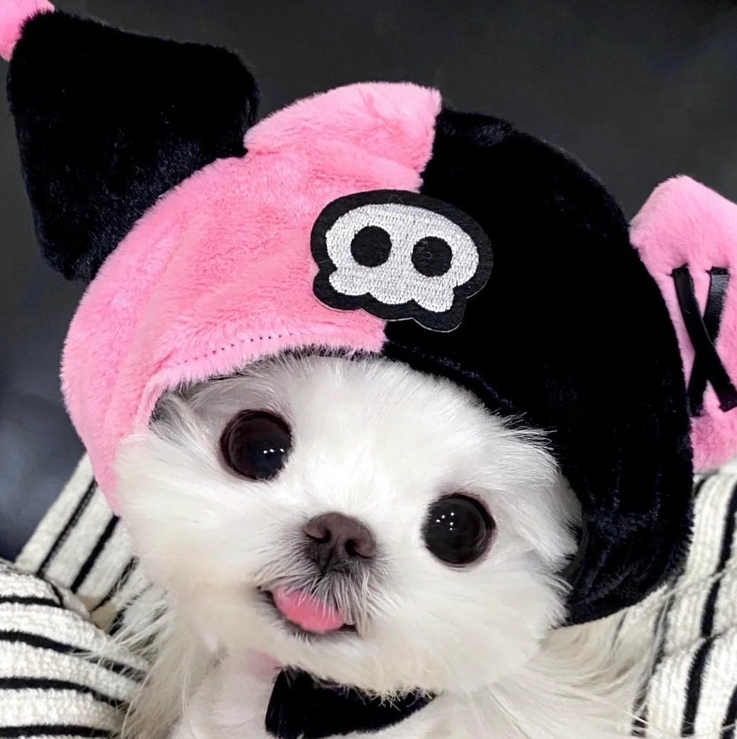 avatar chó cute