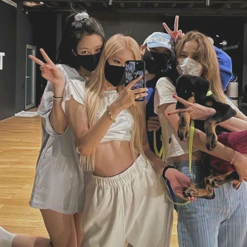 avatar của blackpink