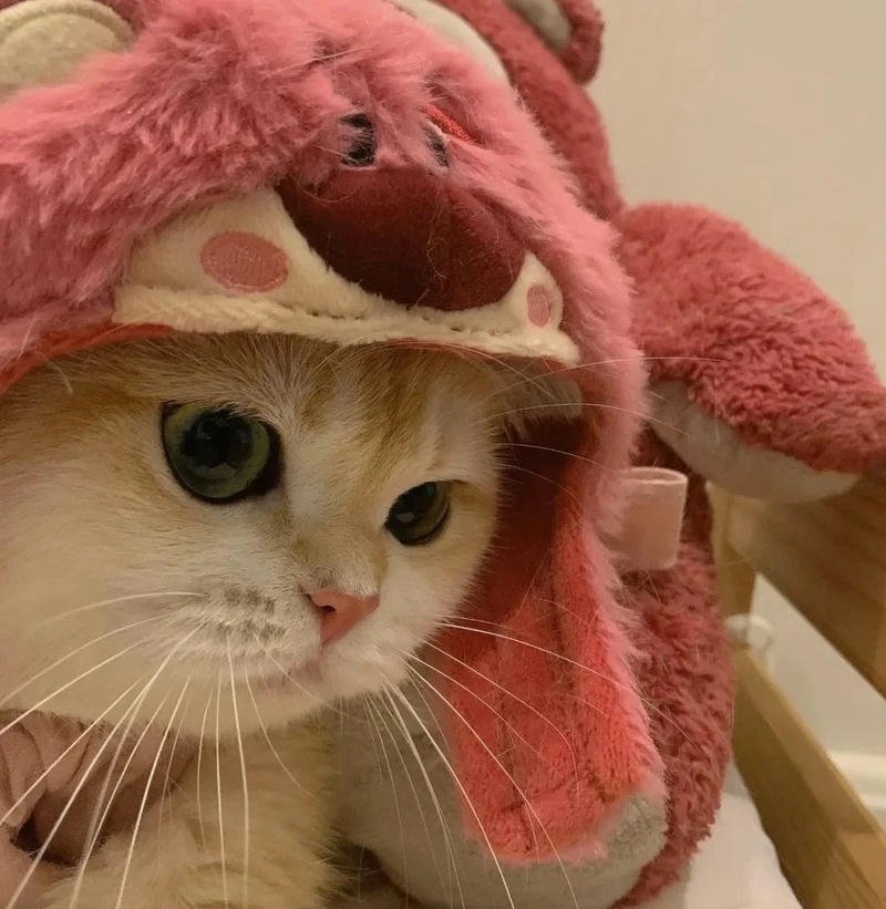 avatar cute cho nữ