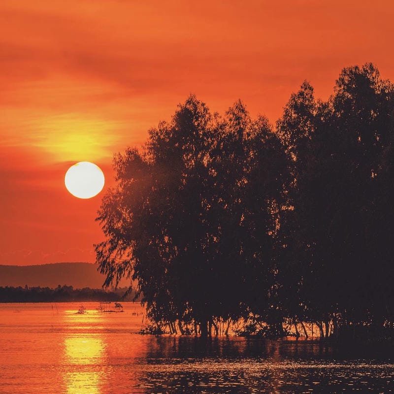 avatar phong cảnh hoàng hôn