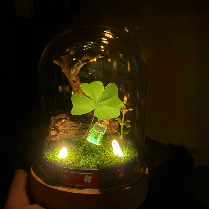 cỏ 4 lá may mắn avatar đẹp