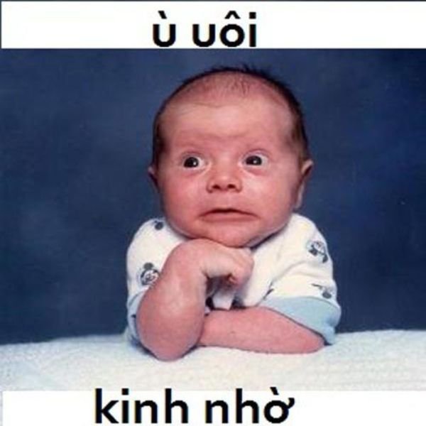 hinh anh che