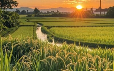 357+ ảnh avatar phong cảnh đẹp và mang lại cảm giác thư giãn