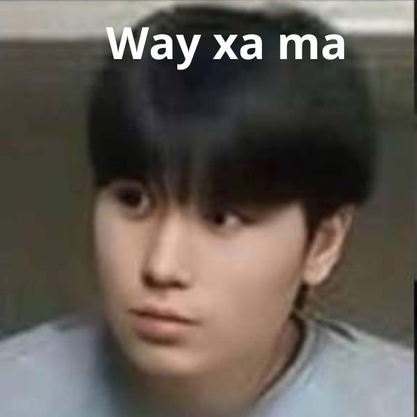 hình meme hài