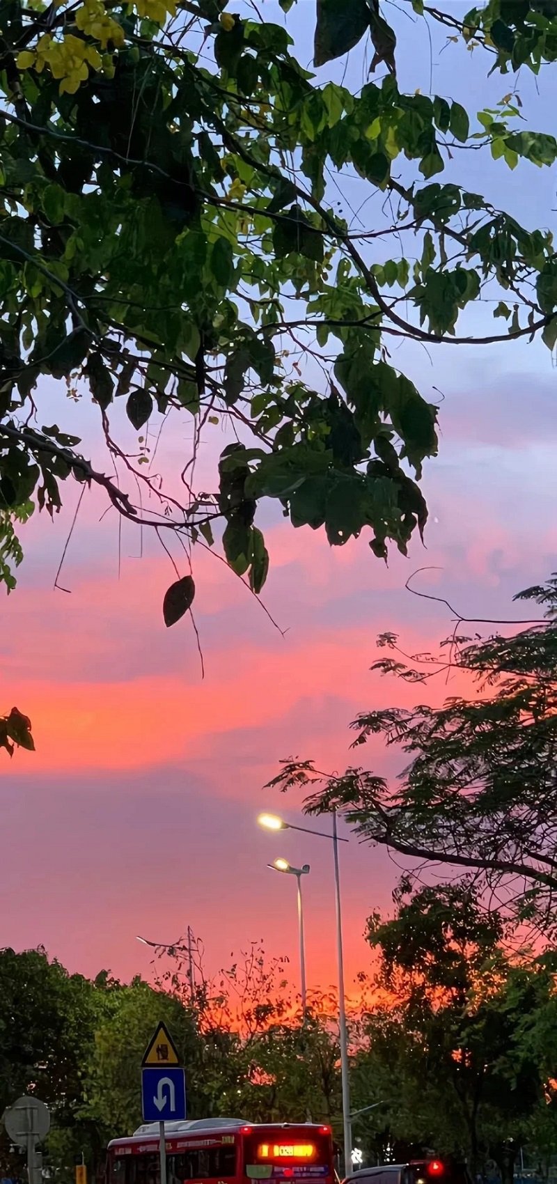 hình nền điện thoại đẹp