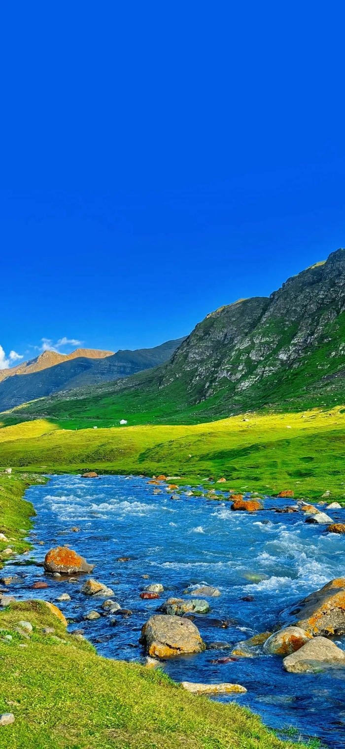 hình nền điện thoại phong cảnh