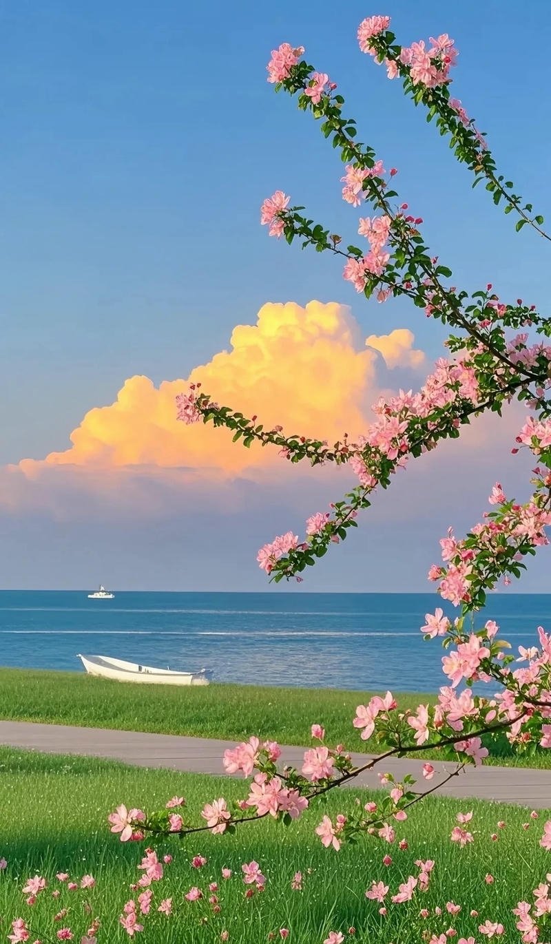 hình nền đơn giản