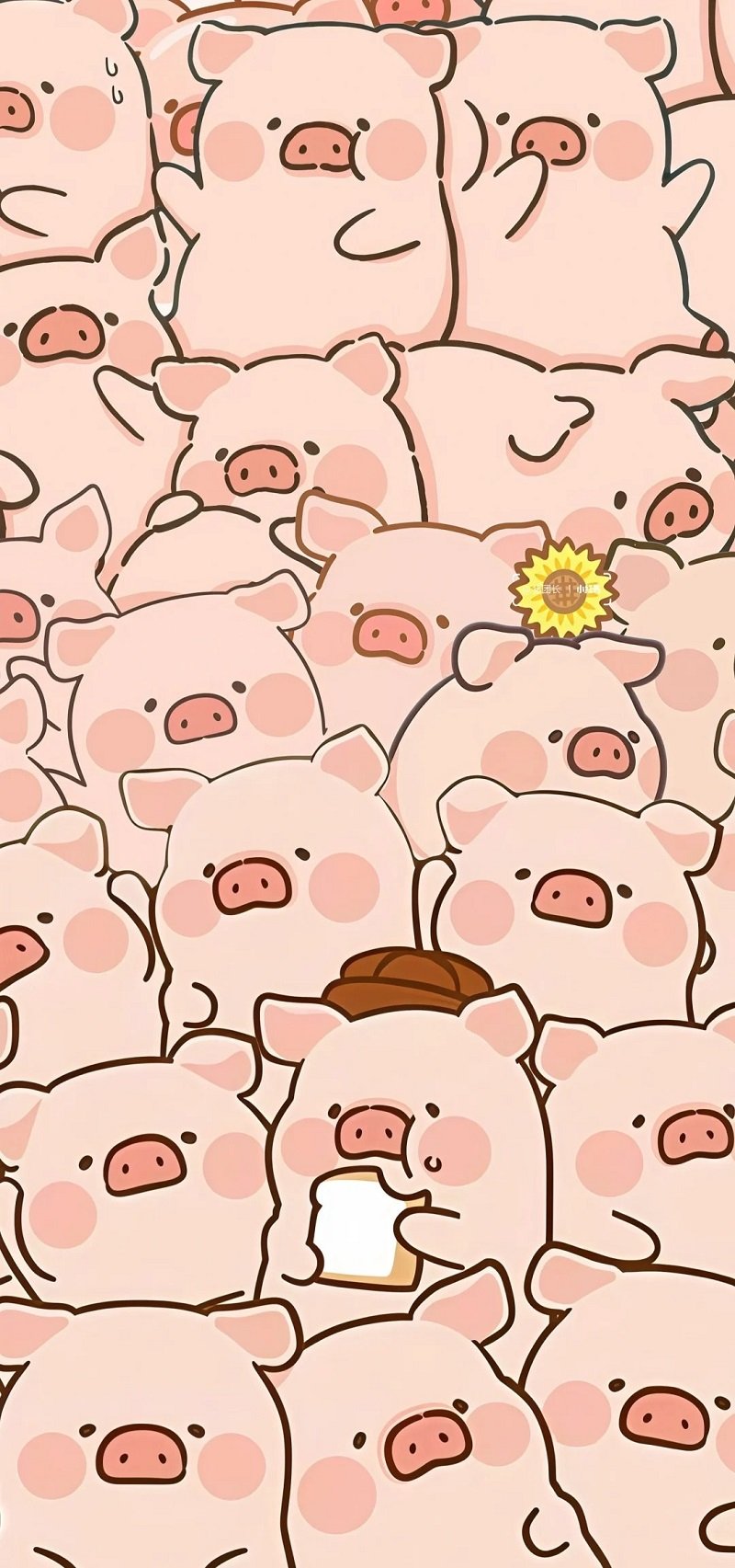 hình nền dt cute