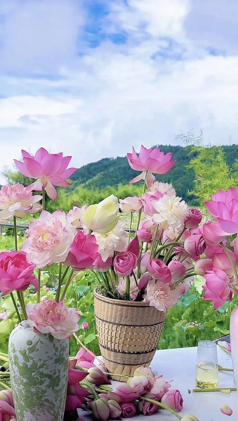 hình nền hoa sen 4k