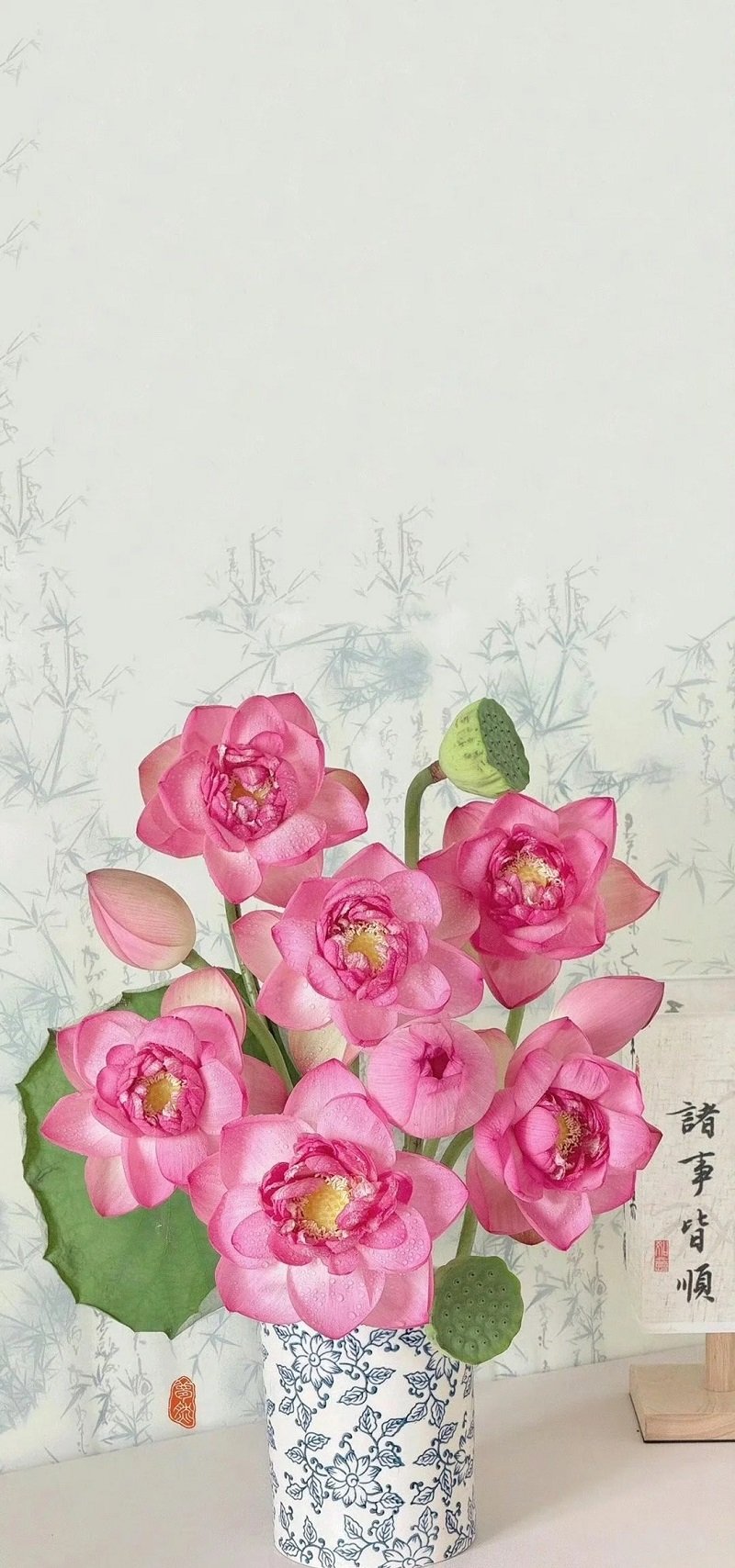 hình nền hoa sen cho iphone