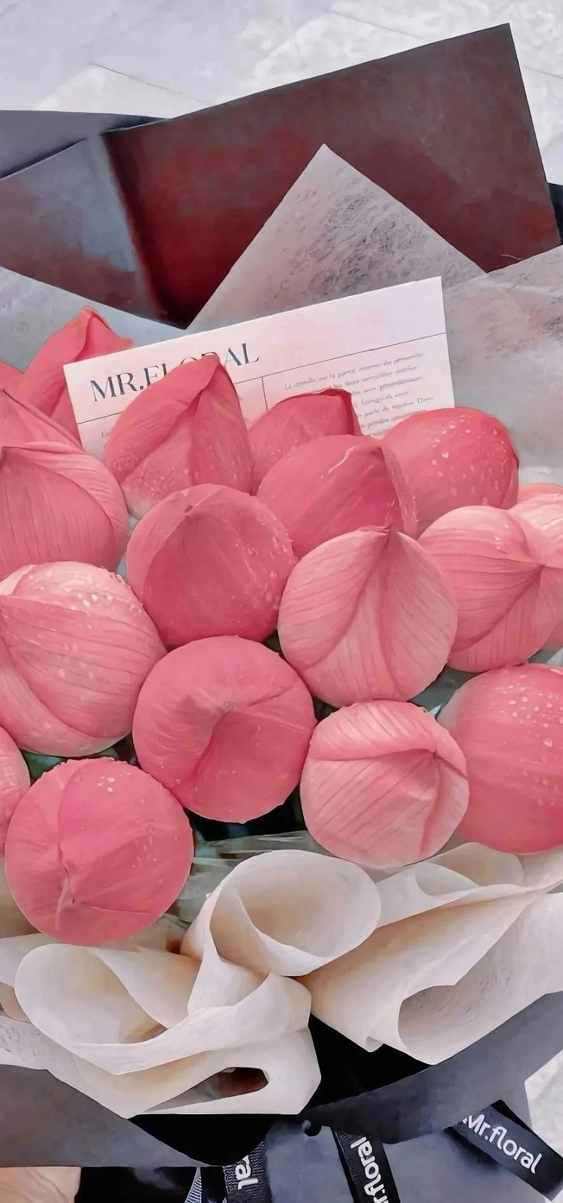 hình nền hoa sen cho máy tính