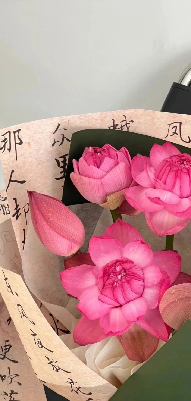 hình nền hoa sen hồng