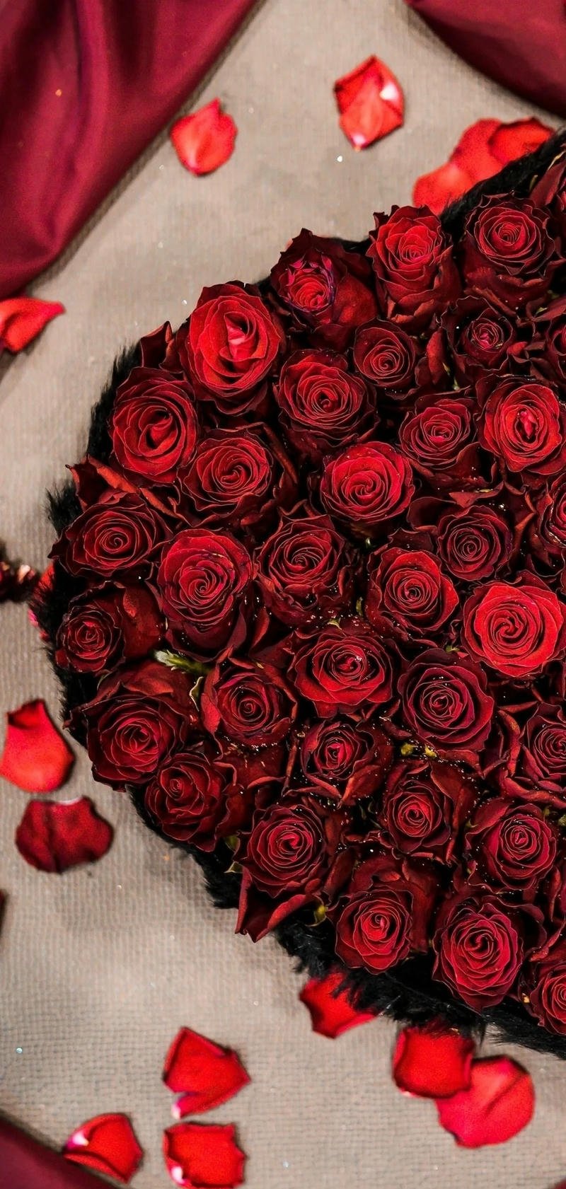 hình nền hồng đẹp