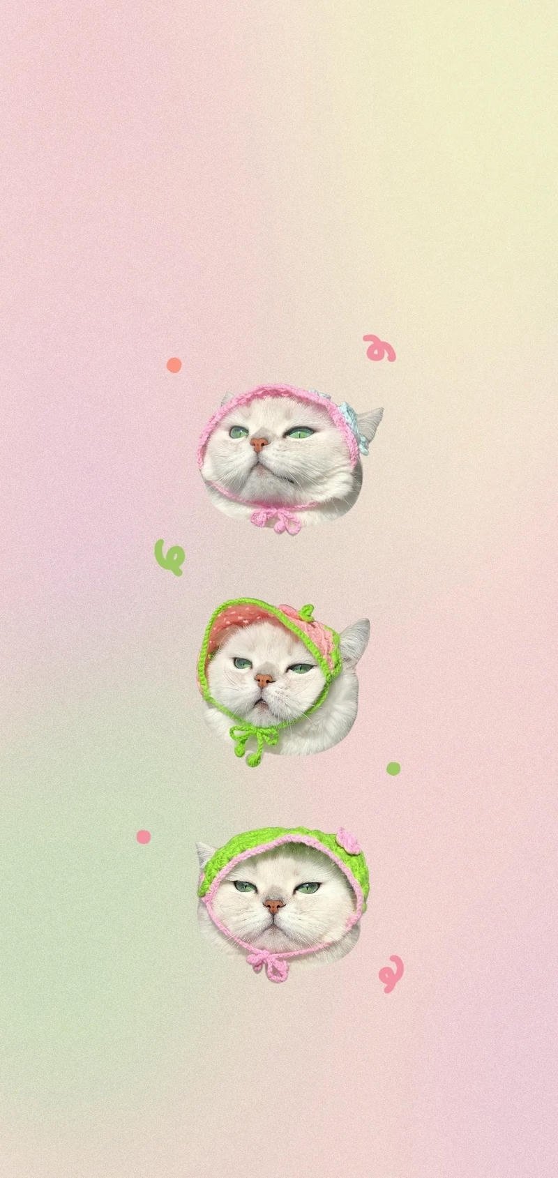 hình nền mèo cute màu hồng