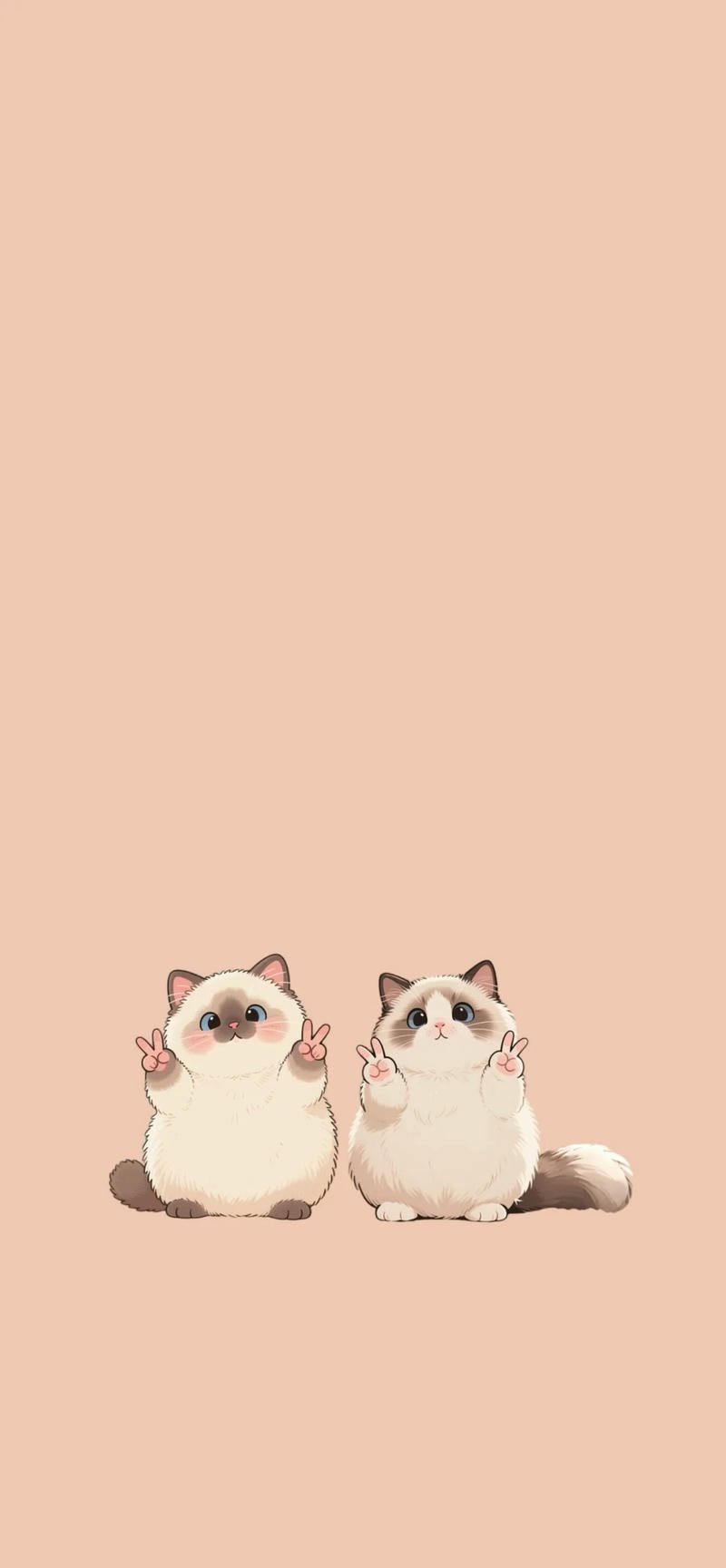 hình nền mèo hoạt hình cute