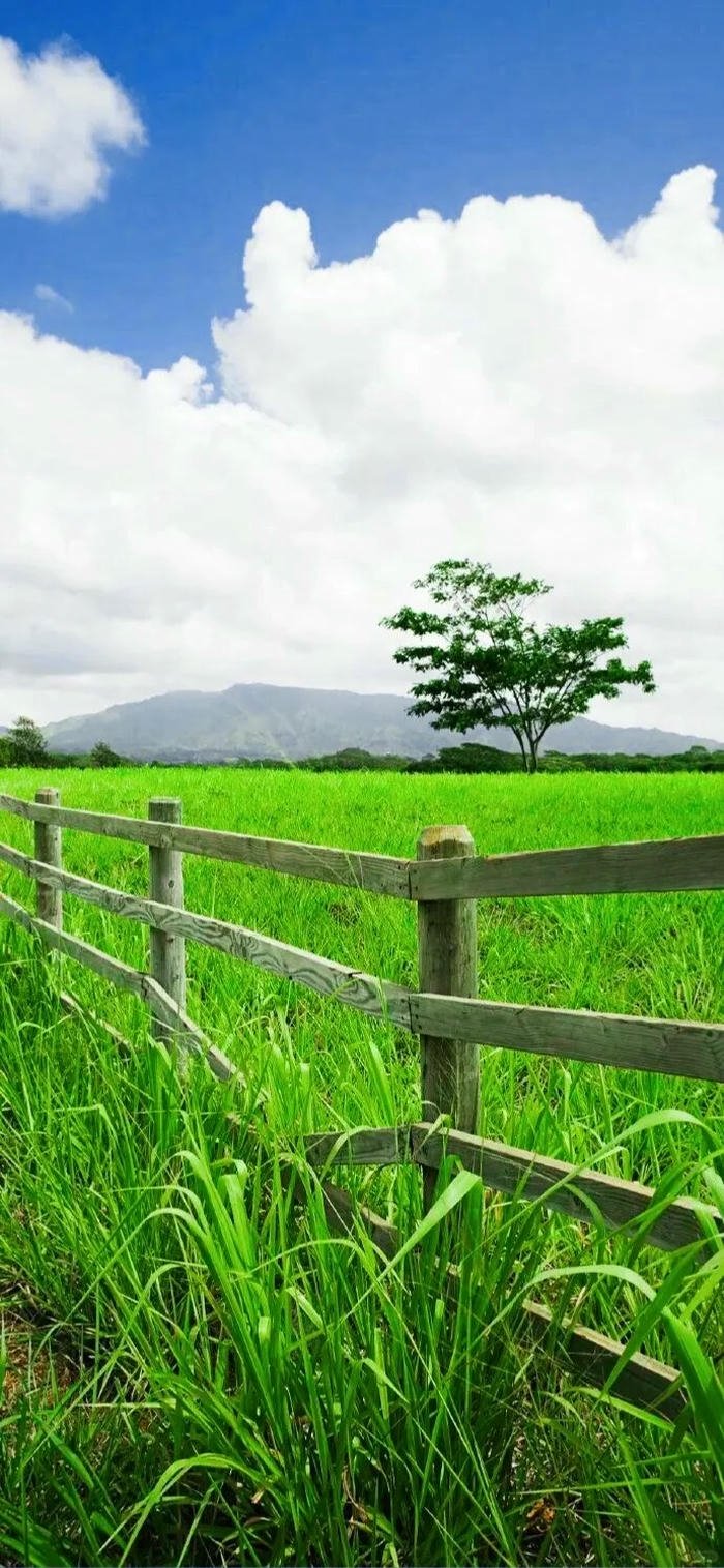 hình nền phong cảnh 4k