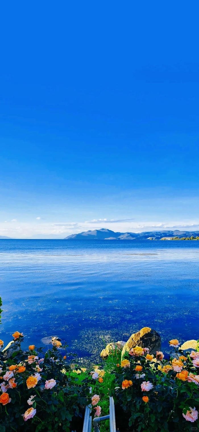 hình nền phong cảnh chill