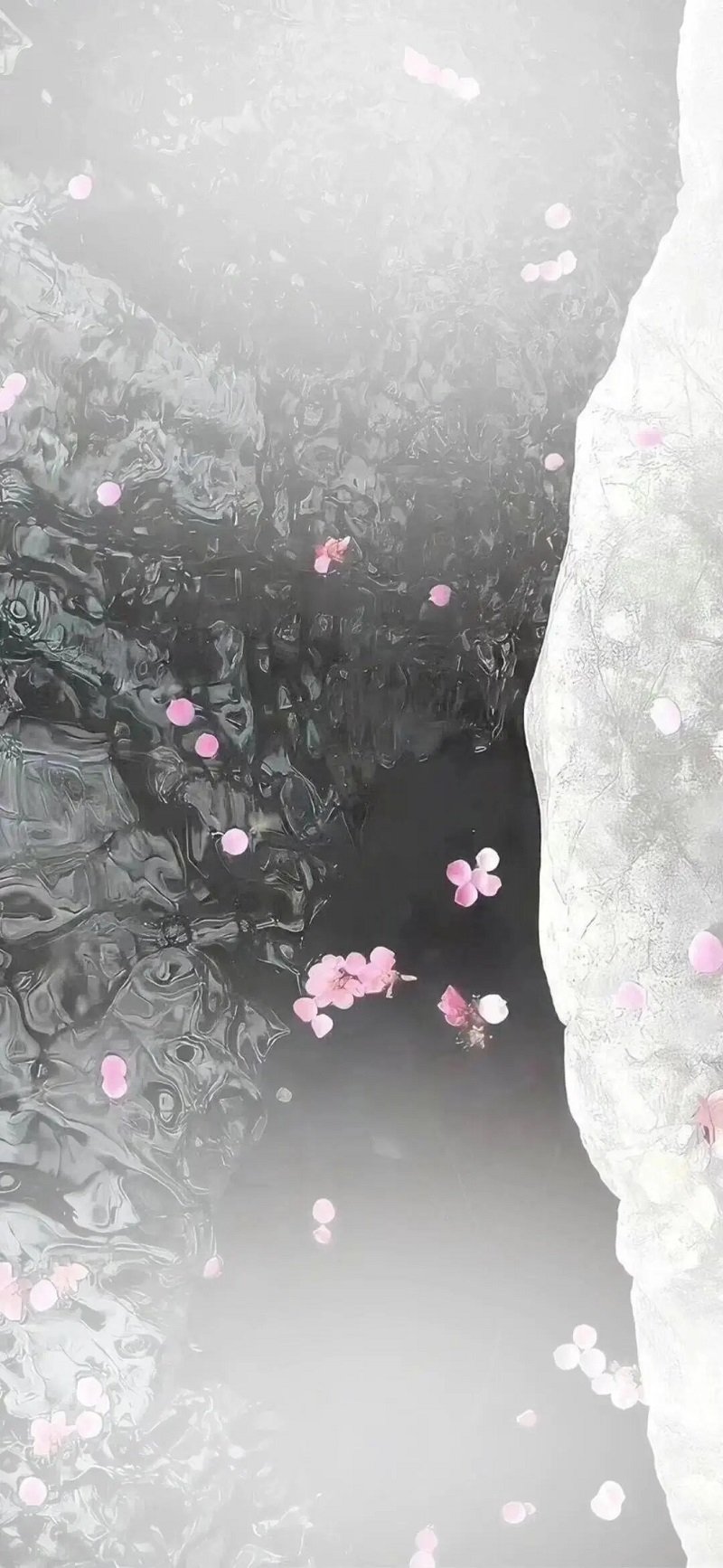 hình nền trắng