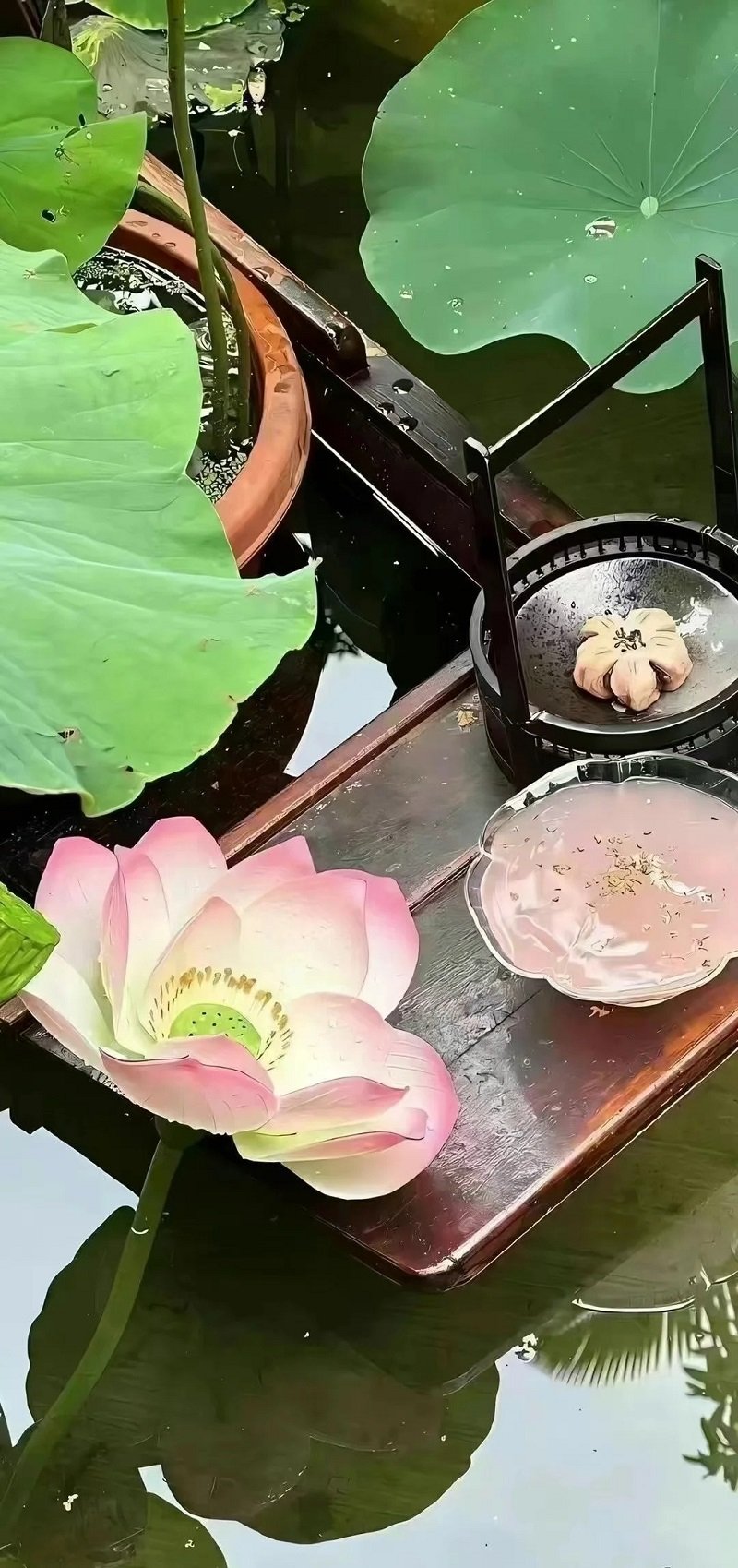 hoa sen hình nền