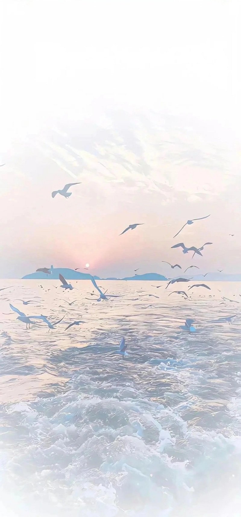 màn hình nền trắng