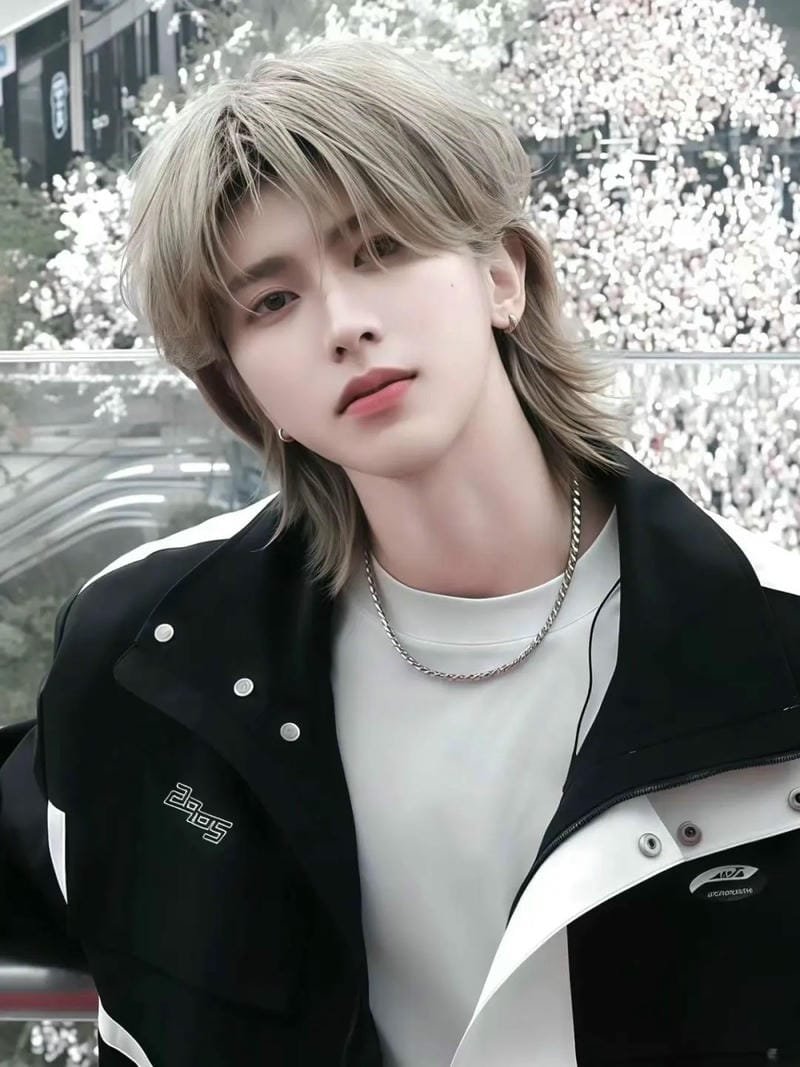 mullet layer nam dài
