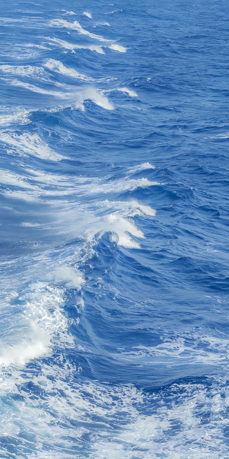 nền màu xanh dương