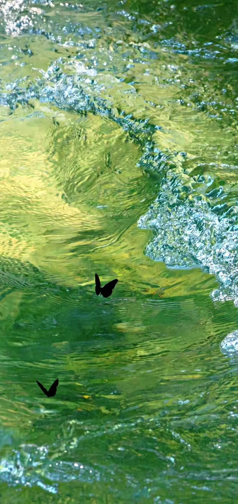 nền màu xanh lá