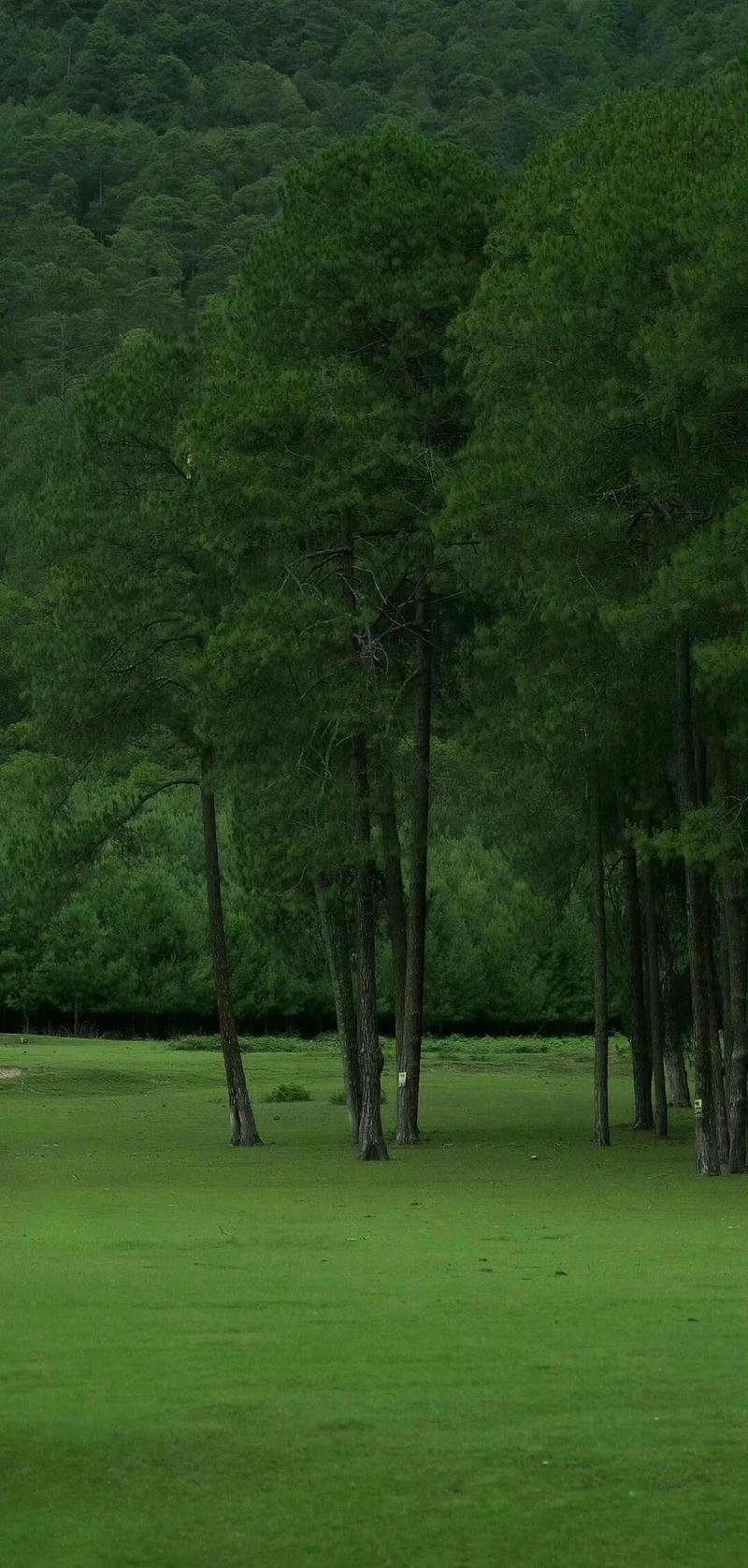 nền xanh đẹp