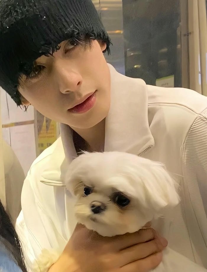 trai trung quốc dễ thương