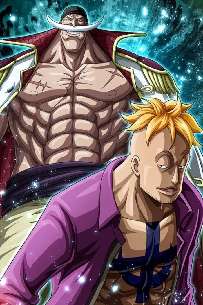 hình nền one piece 5d full